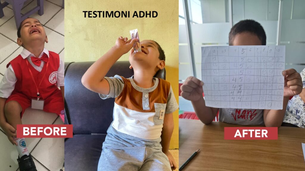 testimoni hikari AFC